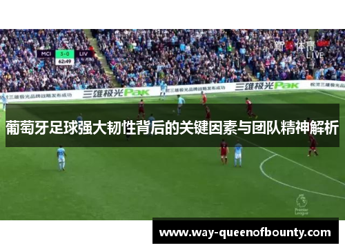 葡萄牙足球强大韧性背后的关键因素与团队精神解析