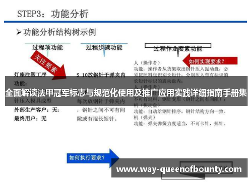 全面解读法甲冠军标志与规范化使用及推广应用实践详细指南手册集