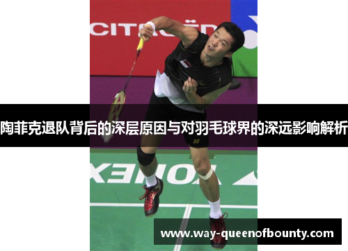 陶菲克退队背后的深层原因与对羽毛球界的深远影响解析